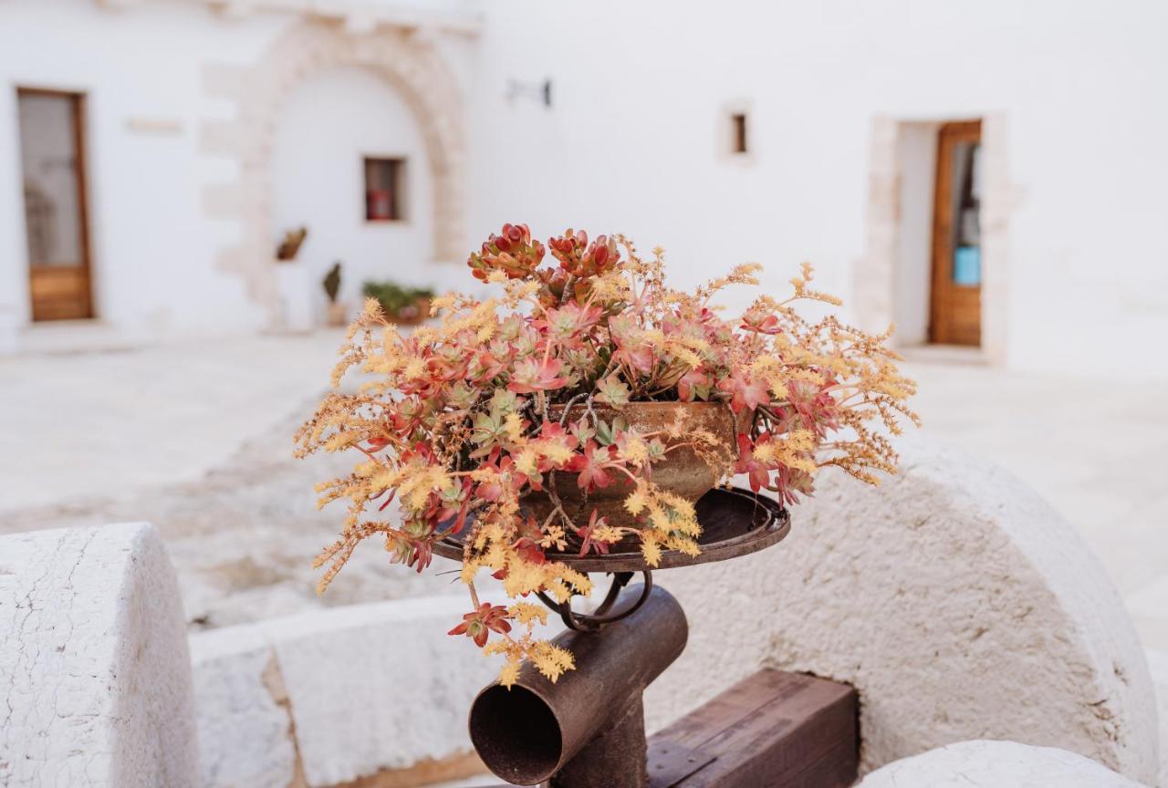 Masseria Casamassima Agriturismo Villa Ostuni Exterior foto